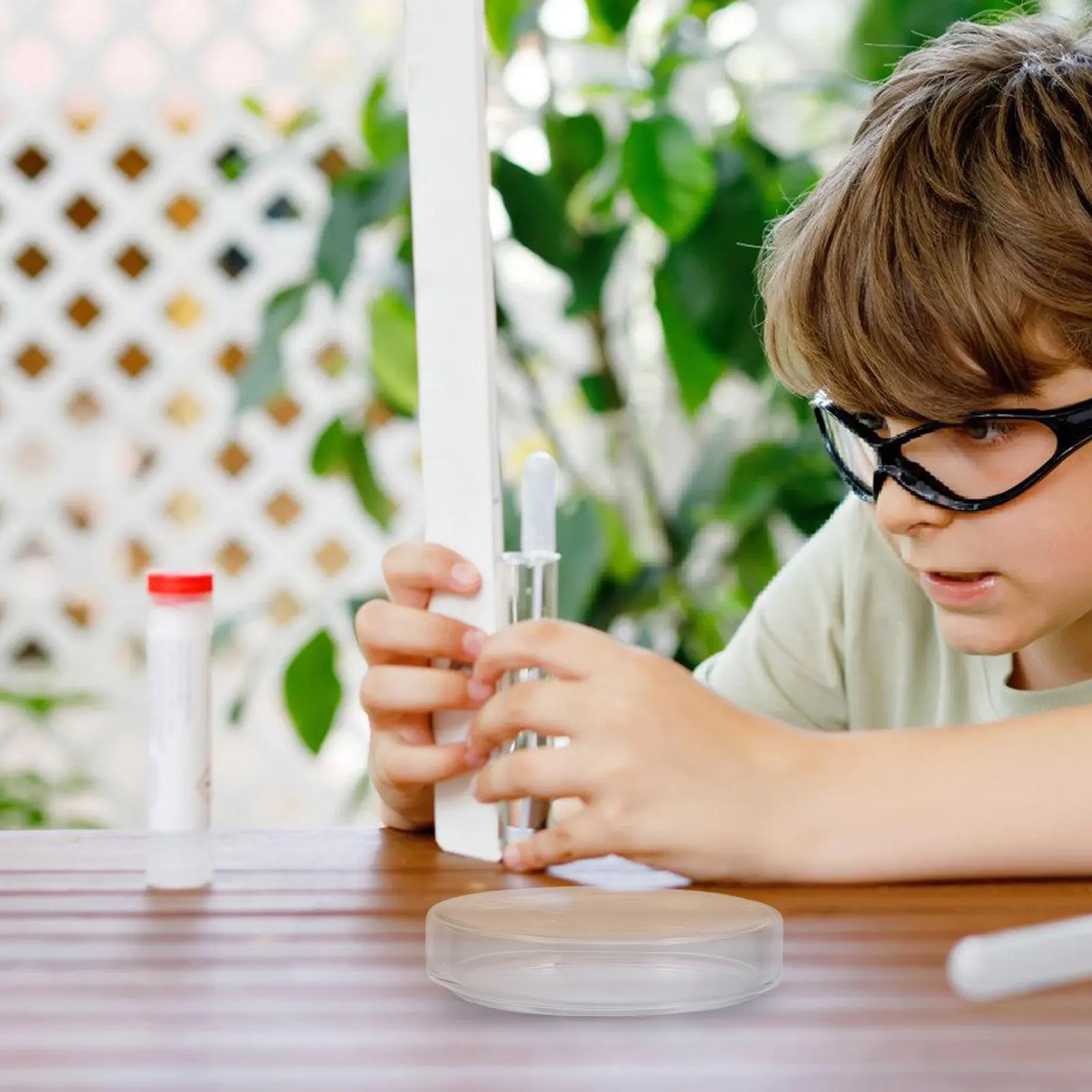 

Чашка Петри из высокопрочного боросиликатного стекла, многоразовая, для микробиологии, химии, научного образования, с гладкой поверхностью, легко моется