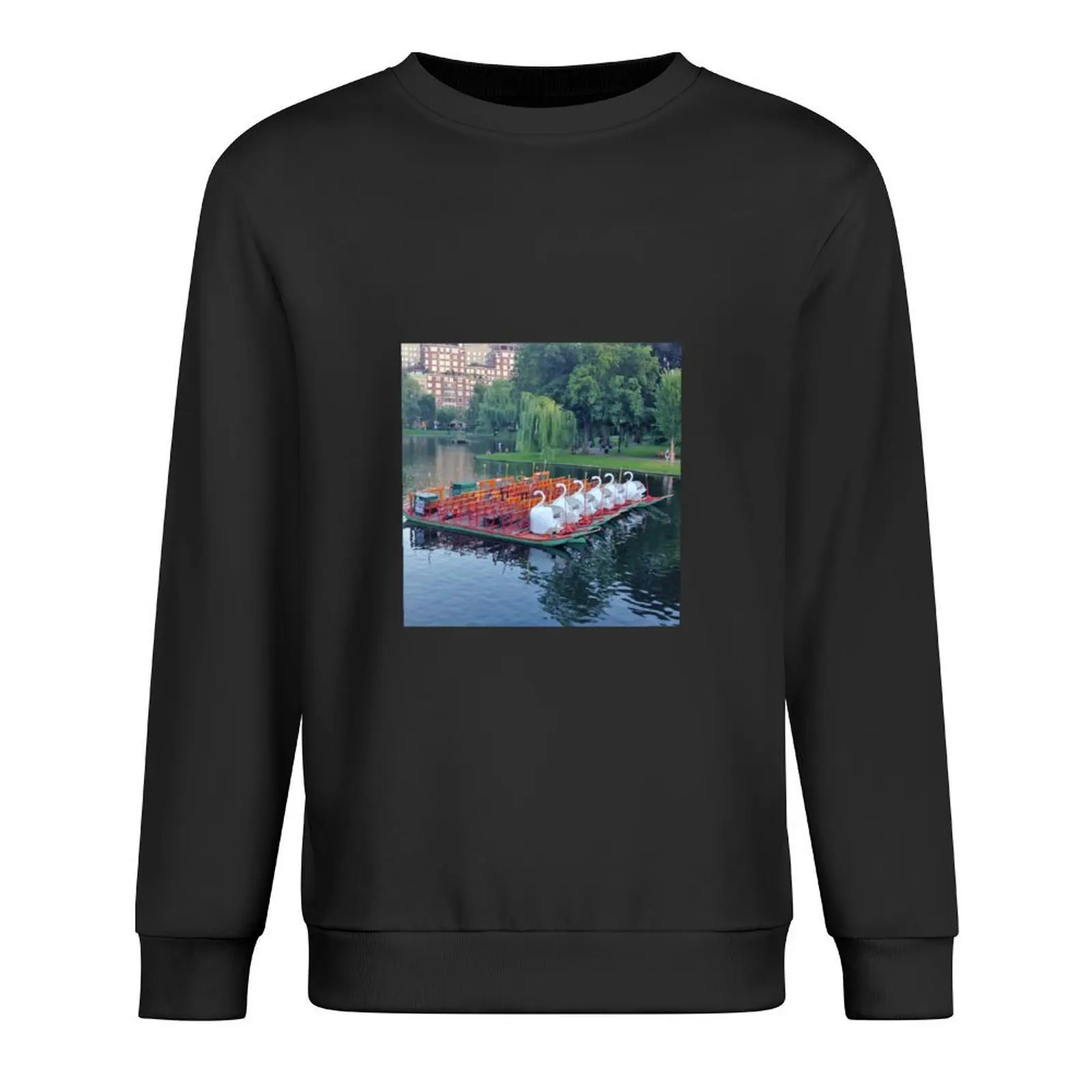 

Boston Swan Boats Pullover aesthetic clothing mens clothing autumn men clothes hooded sweatshirts