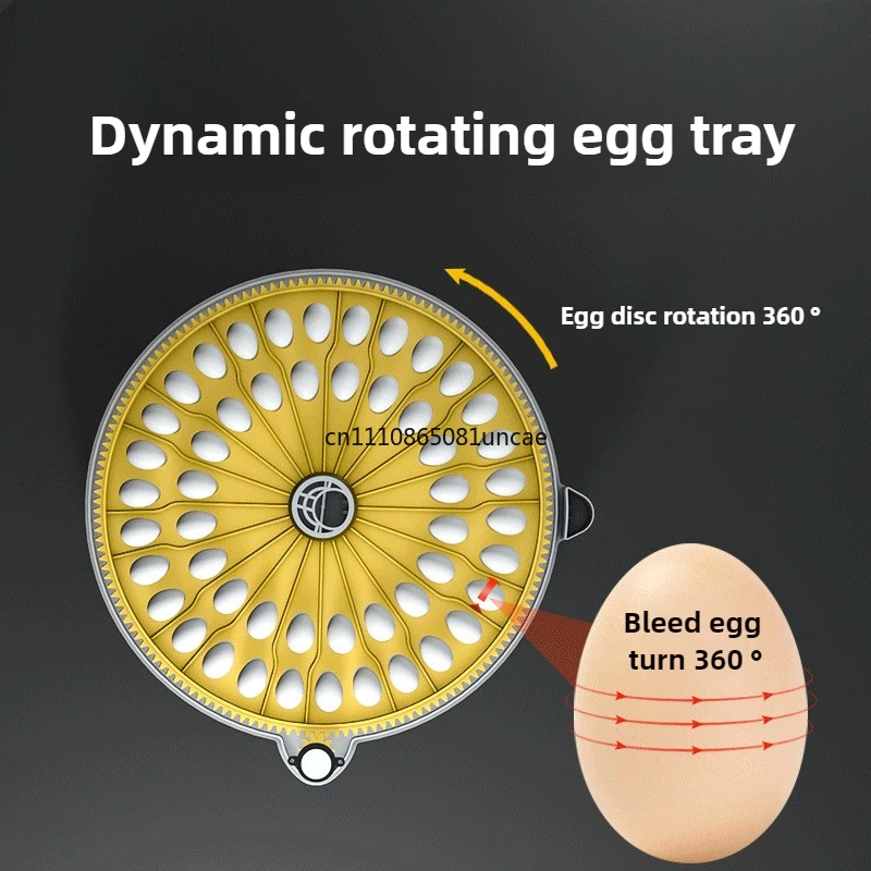 bird eggs rutin-containing chicken egg incubator automatic dual-power intelligent breeding incubator household egg incubator