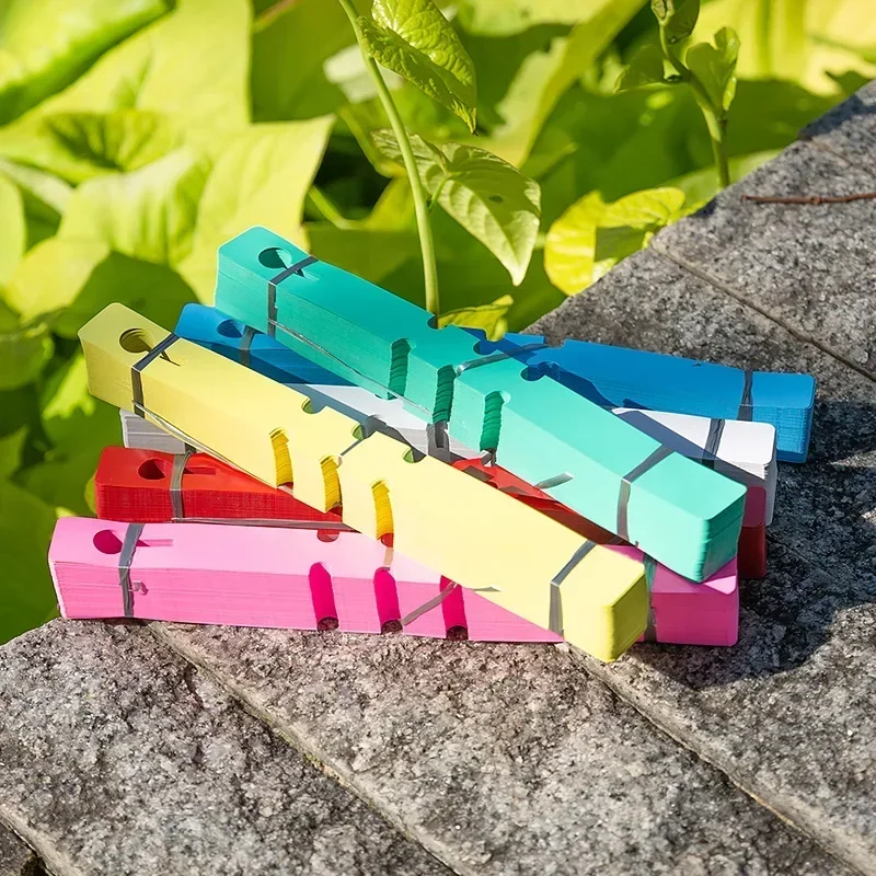 

100Pcs Durable Solid Color Plant Markers Reusable Tree Ornament Gardening Label Hang Tag Prompt Card for Garden Signage