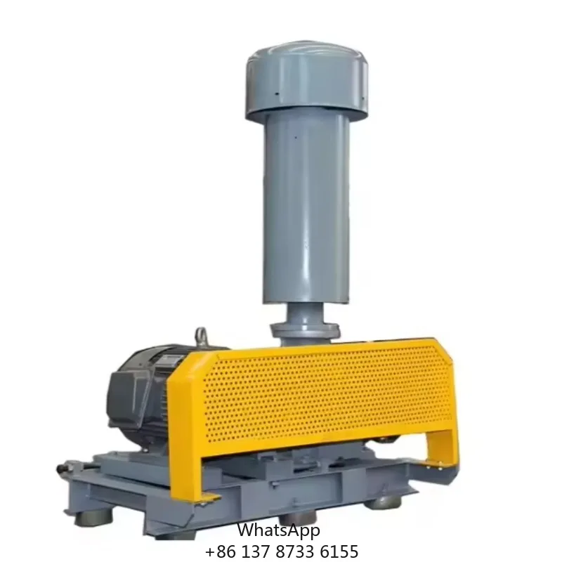 

Three-Lobe Roots Blower Biogas Root Blower With Minimal Leakage High Pressure For Special Gas Delivery