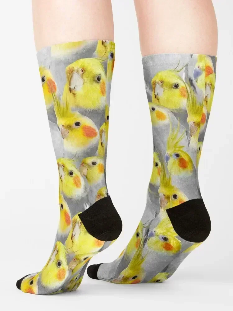Cockatiel Crowd Pattern Socks cartoon Children's Novelties cotton Girl'S Socks Men's