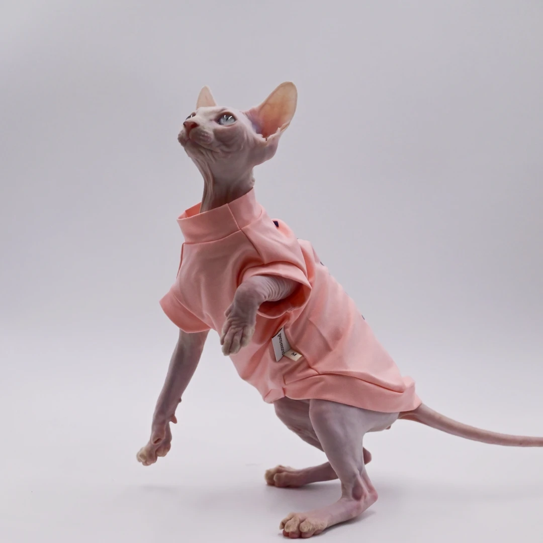 DUOMASUMI Sphynx Cat Clothing, Thin, Hairless, Breathable, Anti-drop Clothes for Cats, Summer