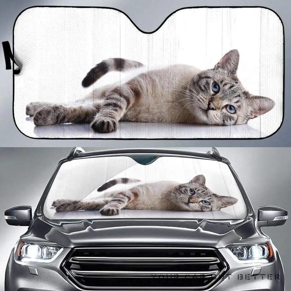 British Shorthair Cat On White Background Car Sunshade, Cute British Shorthair Cat Kitten On White Background Auto Sun Shade, Wi