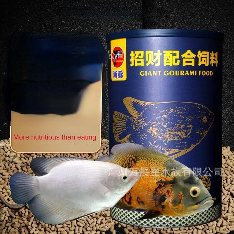 Automatic Fish Feeders for Carp Aquarium, New Arrival, 320g