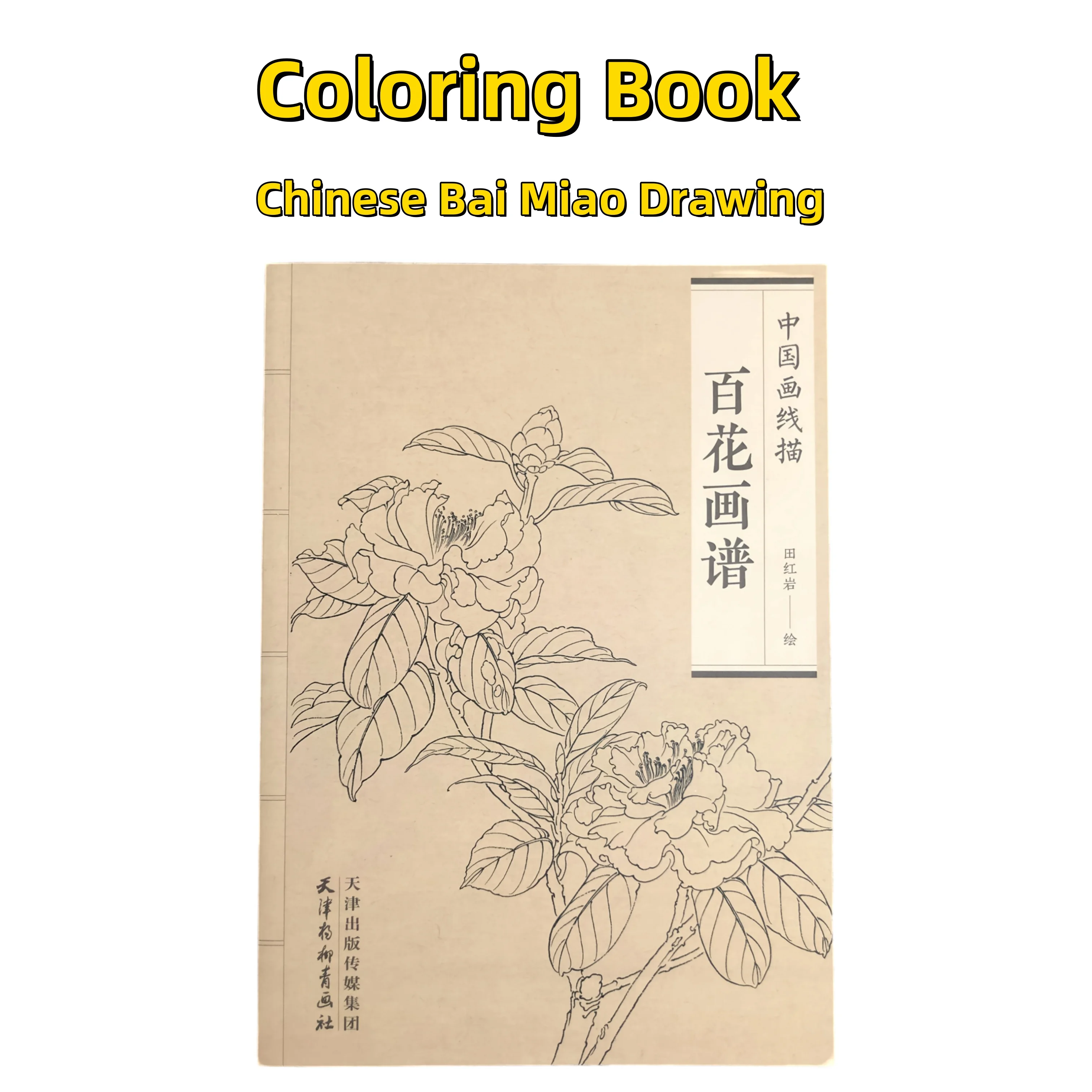 كتاب تلوين للبالغين والمراهقين يتميز بتصميمات سهلة وبسيطة لرسم الرسم الصيني للاسترخاء