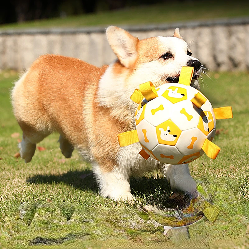 Dog Football Toy Bite-Resistant Molar Border Collie Toy Training Special