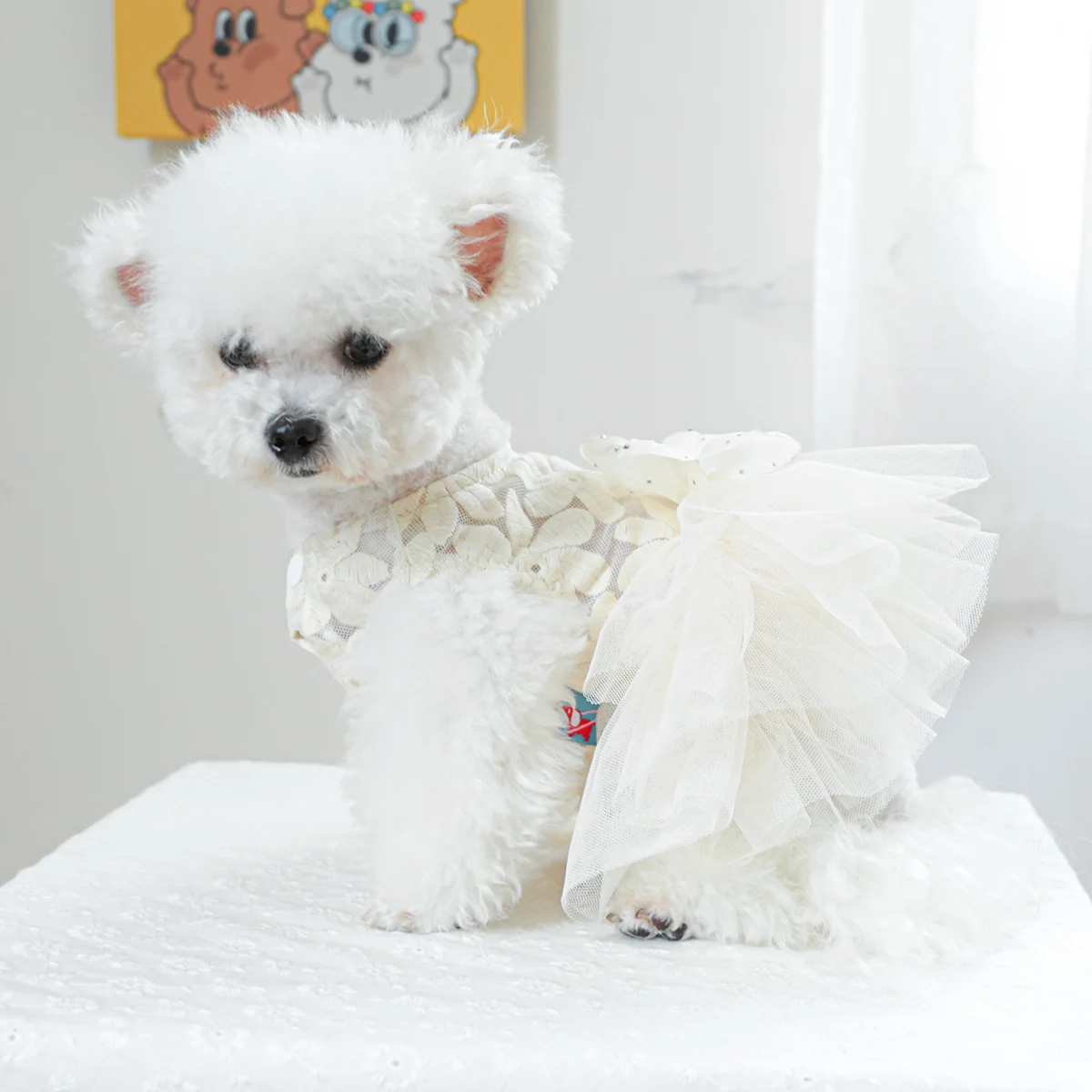 1PC Pet Clothing Cat Spring/Summer Thin White Floral Elf Wedding Dress Princess Dress Suitable for Small and Medium Dogs