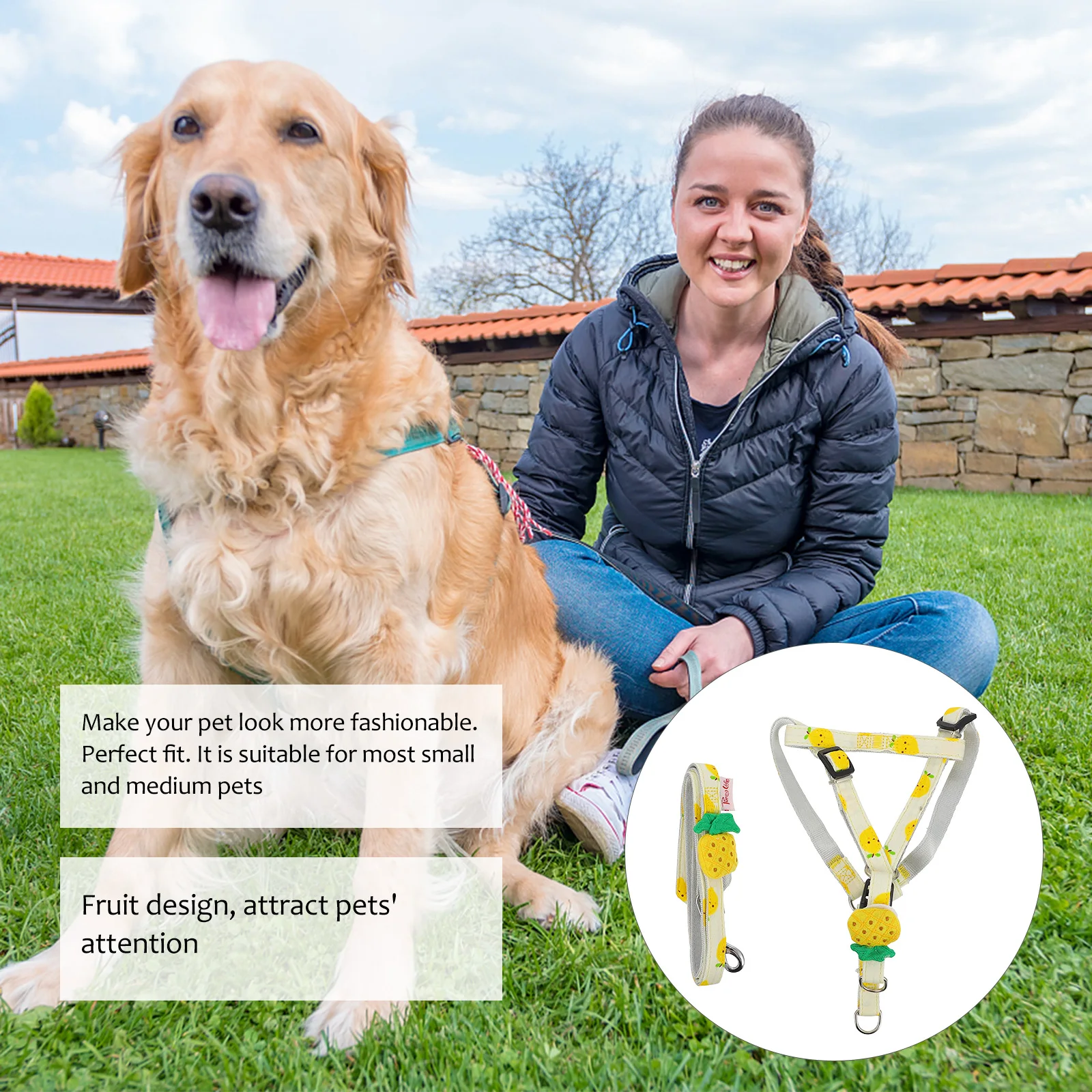 

Fruit Print Pet Pulling Rope Lightweight Long Training Dog Walking Leash Pet Pulling Rope Outdoor Walking