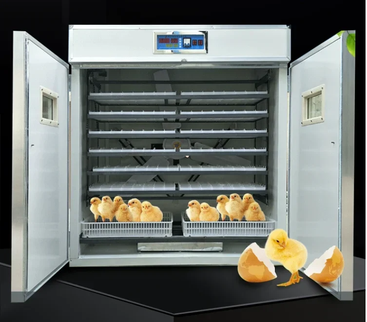 Automatic 5000/6000/3000/1000/128 Egg Incubator