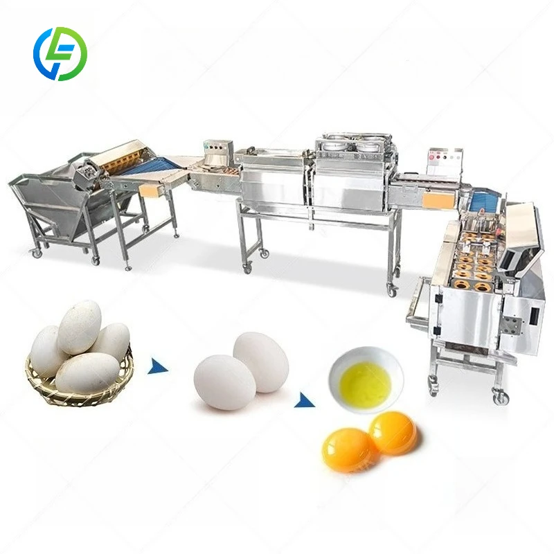 FL Customized Egg Surface Stain Cleaning Machine Automatic Egg Washing Machine Conveyor Type Egg Washing Line for Large Farms