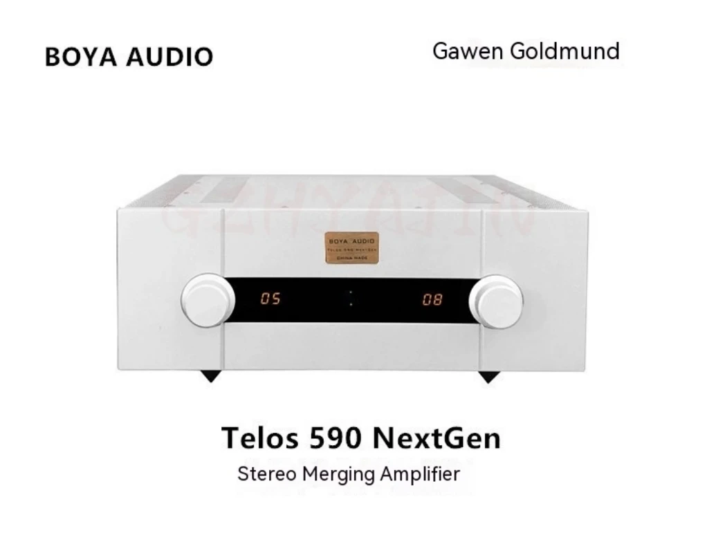 Amplificatore di potenza Hi-end Goldmund Telos590 ad alta definizione Amplificatore per febbre ad alta fedeltà Potenza: 250 W * 2