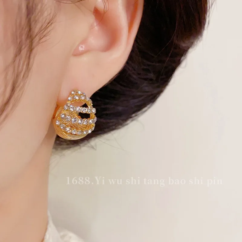 Light luxury niche double-sided zircon water drop-shaped ear buckle temperament fashion simple design earrings earrings wholesal