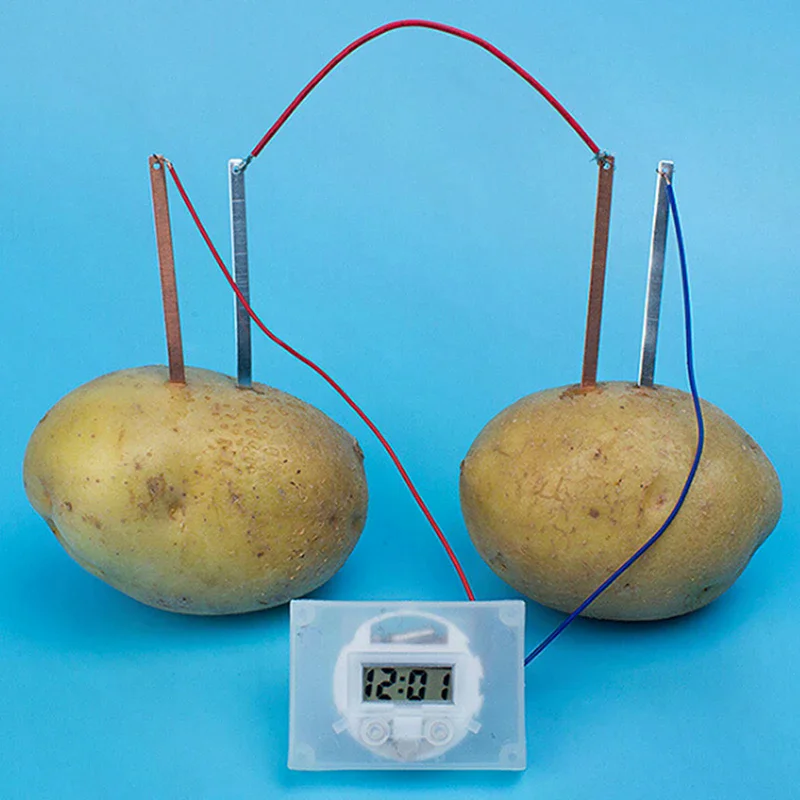 Children Bio Energy…