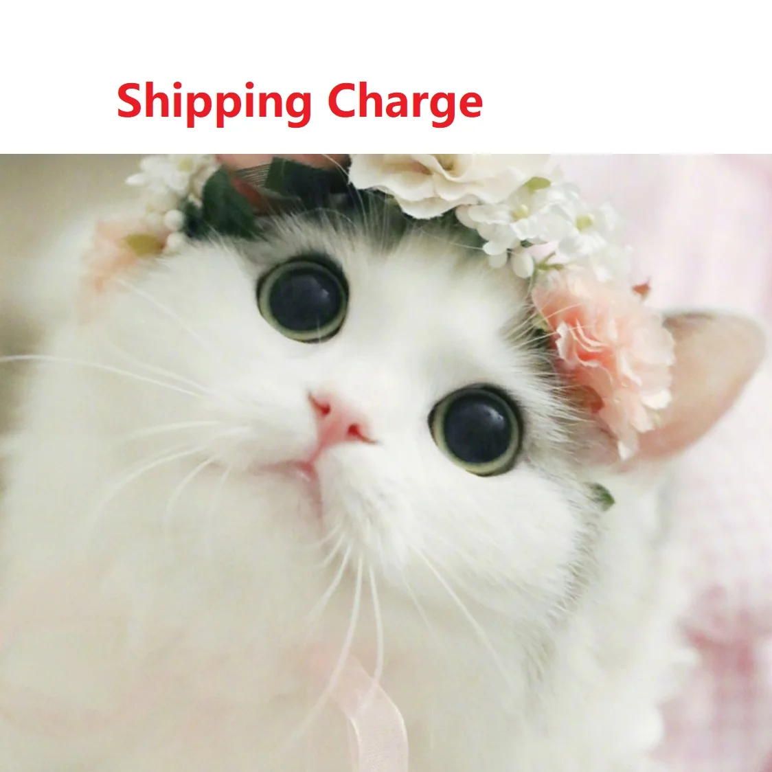 

Different shipping charge