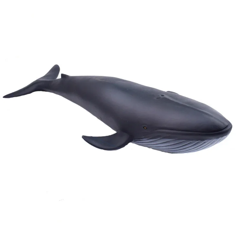 

Large blue whale toy whale whisker animal razor