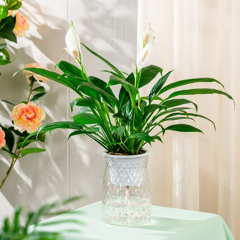 ライト高級模造ガラス植木鉢フラワーアレンジメント水栽培透明可視水位樹脂花瓶リビング R