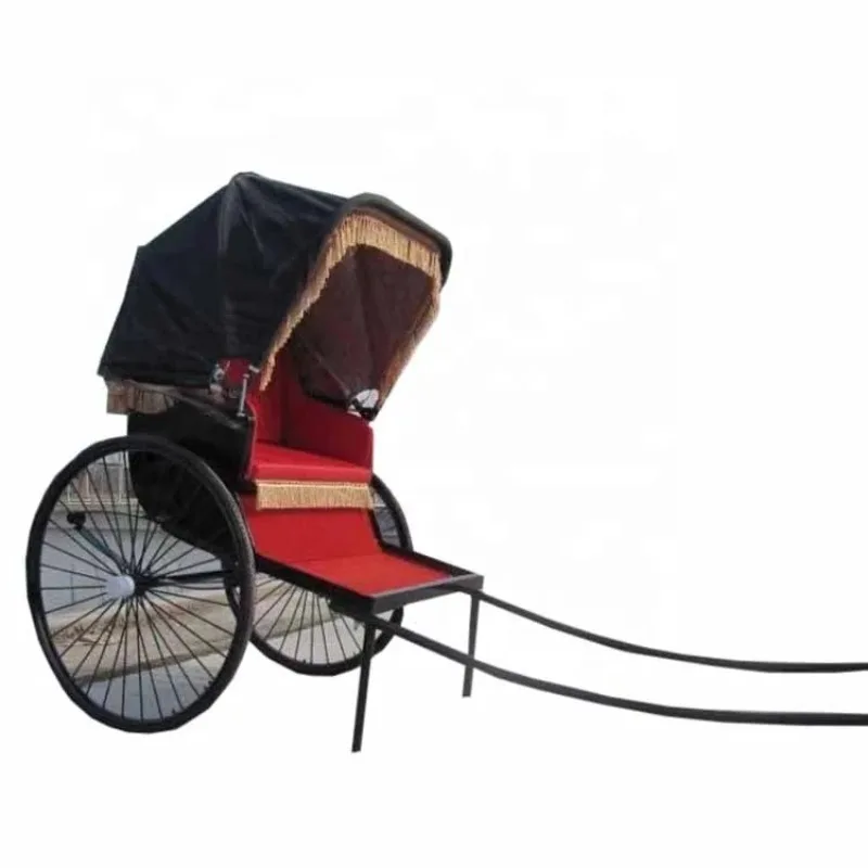 Classic Hand Pulled Wagon 2 Wheels Manpower Bicycle Rickshaw