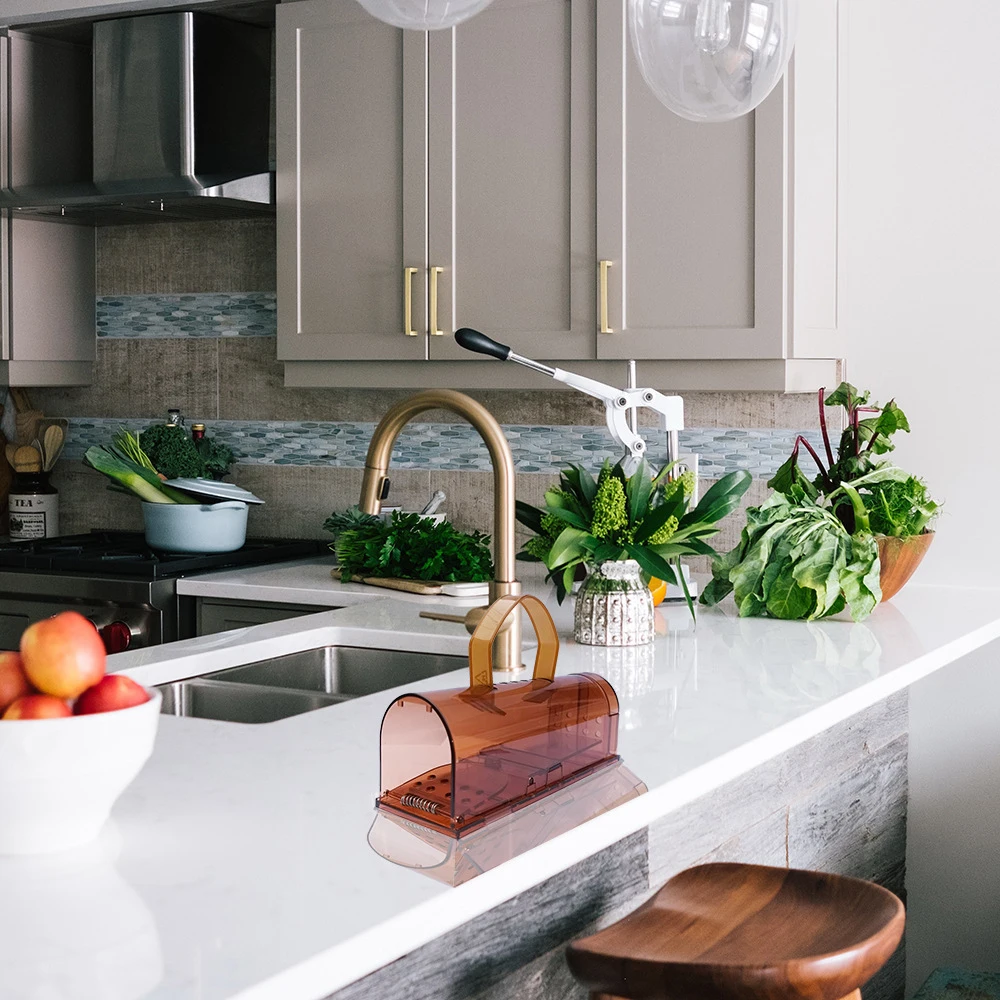 1PC Plastic Mousetrap, Mouse Cage, Reusable Mouse Rodent Catcher, Pet Control Cage