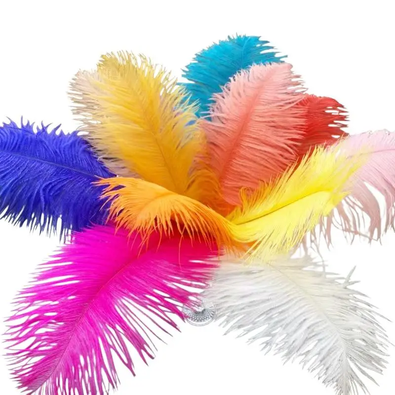 25 bis 30 cm Straußenfedern, weiche Federn, dekorative Federn, verschiedene Farben, ideal für Hochzeiten, Partys, Heimdekoration, Bastelarbeiten und als Schmuckelement. – Detail 10