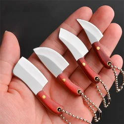 Outdoor Mini Kitchen Knife Keychain Unboxing Portable Wine Bottle Opening Small Blade Paper Cutting EDC Fixed Blade Knife