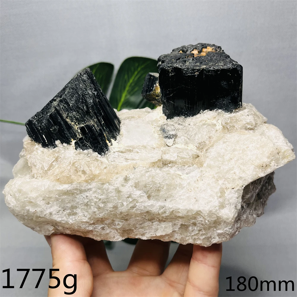 

Natural Gemstones Black Tourmaline Quartz Raw Mineral Specimens Home Room Decoration Festival Gifts Witchcraft altars Healing
