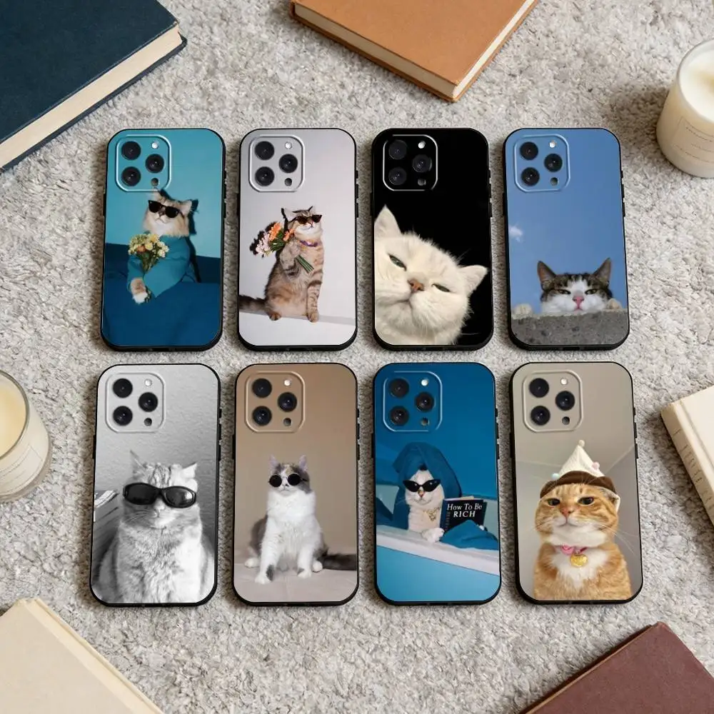 

Cool cat cute Phone Case For iPhone 16,15,14,13,12,17,Pro Max,Plus Silicone Black Case