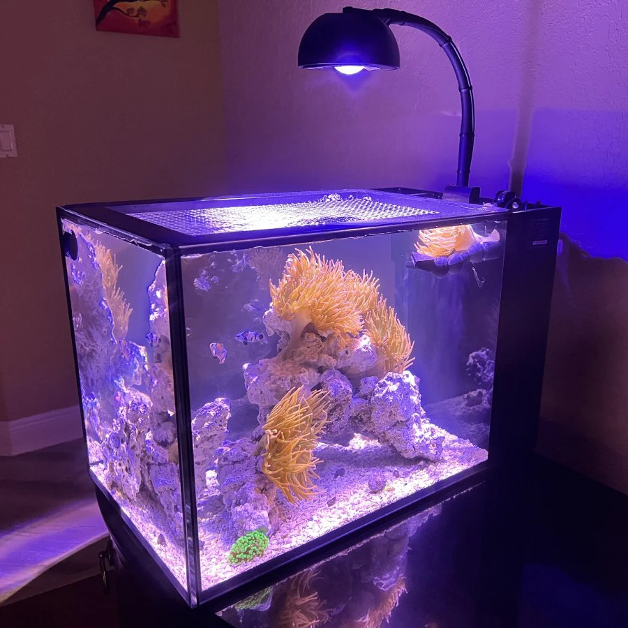 Imagem -06 - Noopsyche Mini Água Salgada Marinha Led Aquário Luz Controle Wifi App Nano Coral Reef Tank np k7 60w