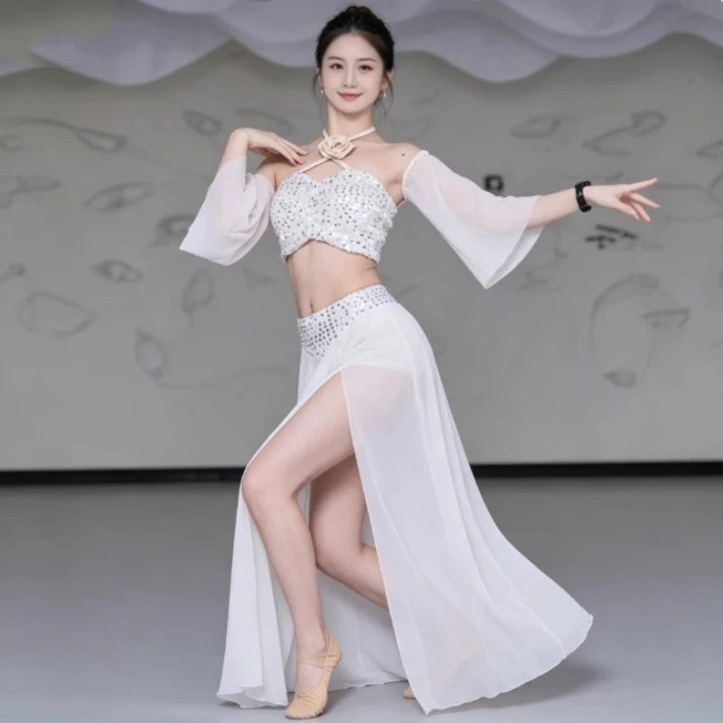 Belly Dance Costume New Set, Practice Outfit, Beginner Sequin Big Skirt, Oriental Dance Performance Outfit for Women