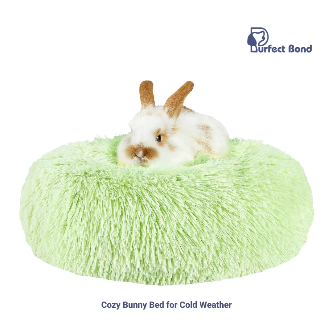 Indoor Bunny Bed for Rabbits, Small Animal Beds, Recommend Bunny House, Small Animal Beds