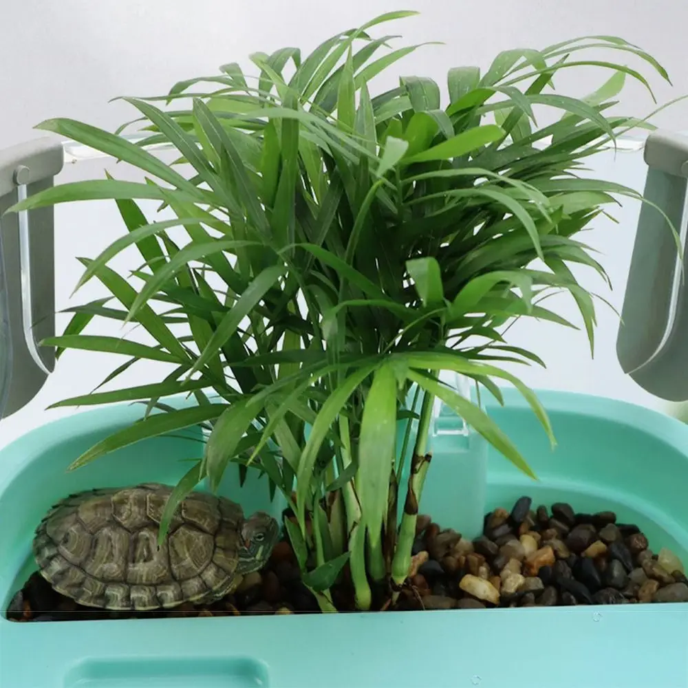 Plastic Transparency Turtle Tank House With Areas To Breed Feed Swim Bask Indoor Enclosure Water Turtles Cage Reptile Habitat