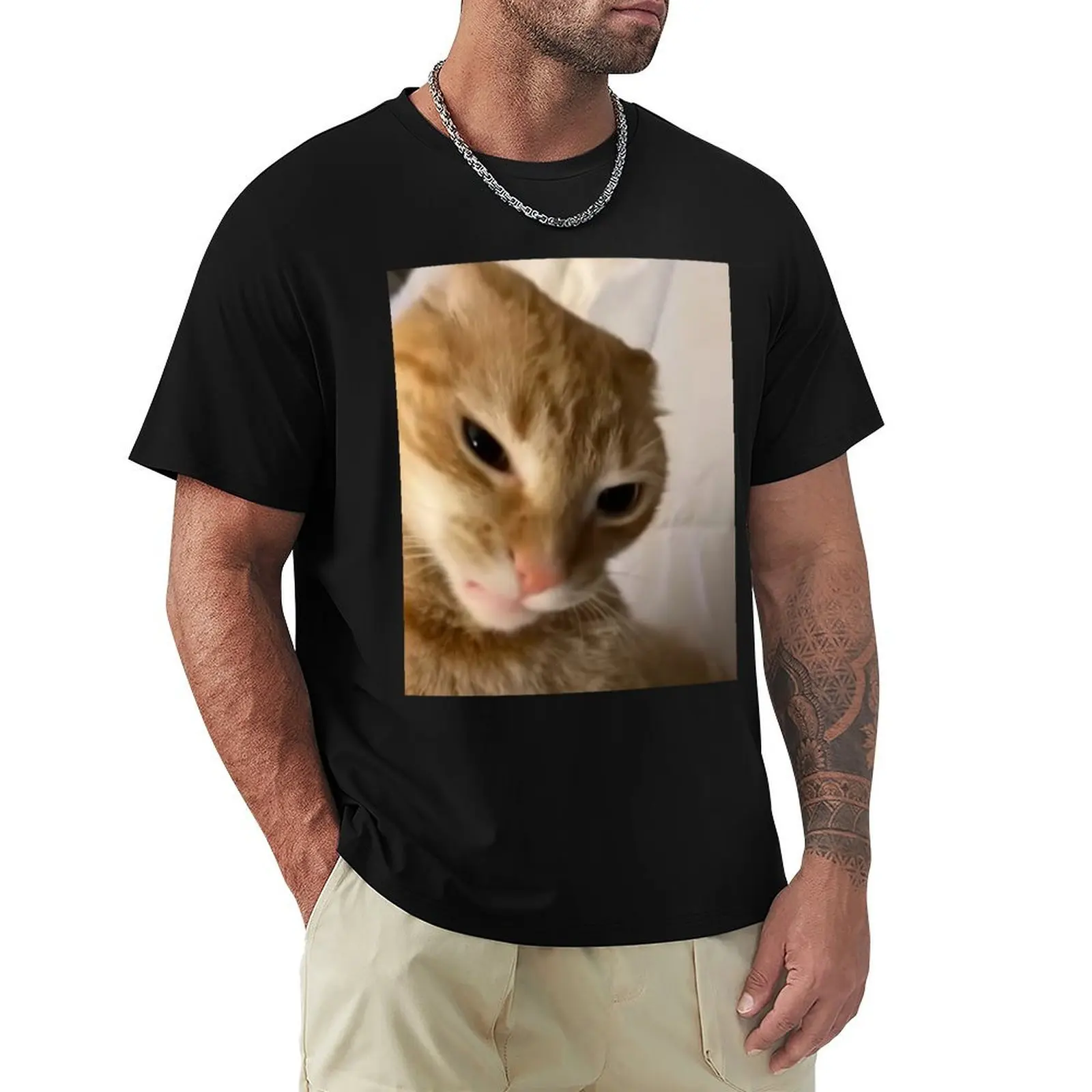 

Angry orange cat meme T-Shirt man clothes Aesthetic clothing anime t shirts T-shirts for men cotton