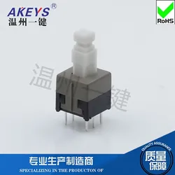10pcs 3*3 head key switch 6 feet double row self-locking without lock Connector 8.5*8.5 Gray black toy accessories