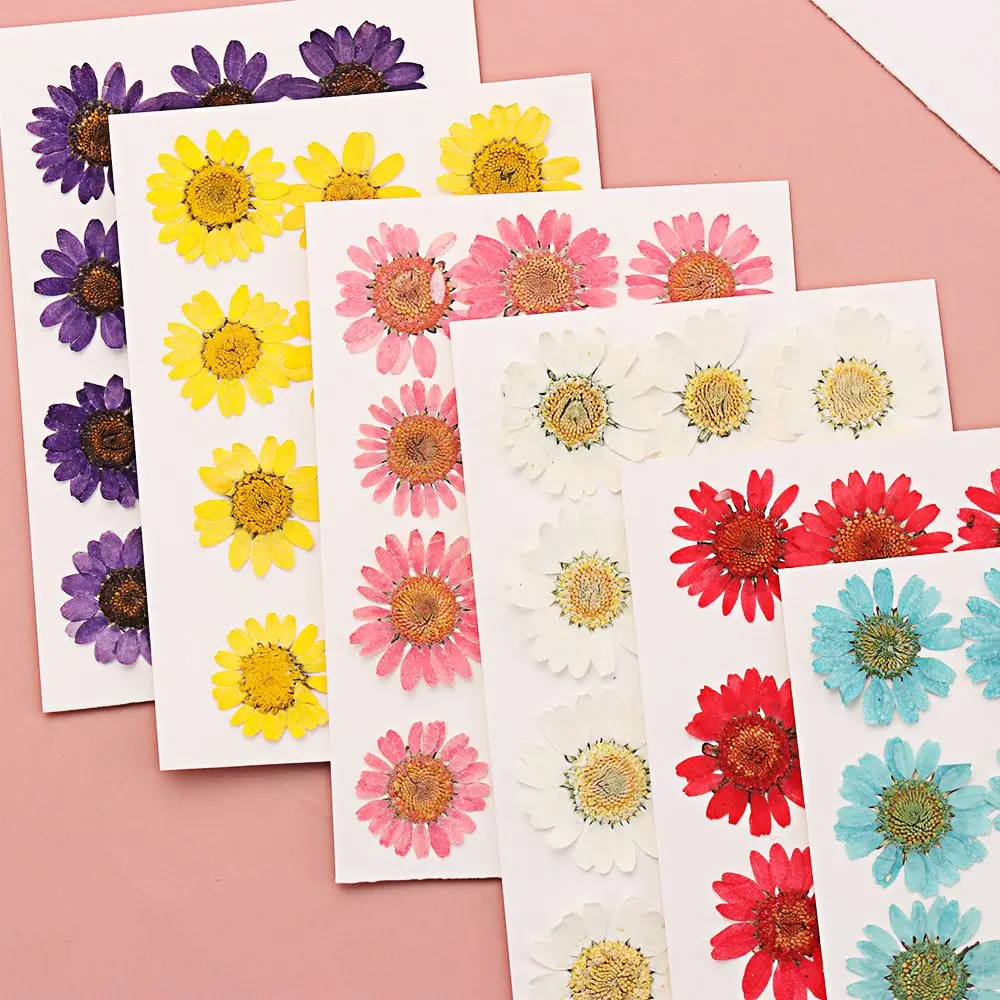 12PCS/Bag Colorful Makeup Resin Jewelry Making Daisy Dried Flower Pressed Art