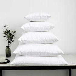Natural Goose Feather & Down Throw Pillows Insert 40x40/50x50/60x60/48x74cm Bed/Couch/Sofa/Home/Hotel Pillow Decoration White