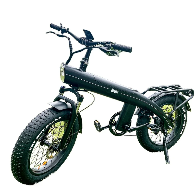 750W Fat Tire Electric Bike 20 Inch 45km/h High Speed E-bike Off-road Mountain City Cargo Bicycle Adults Bicicleta Electrica MTB image 3