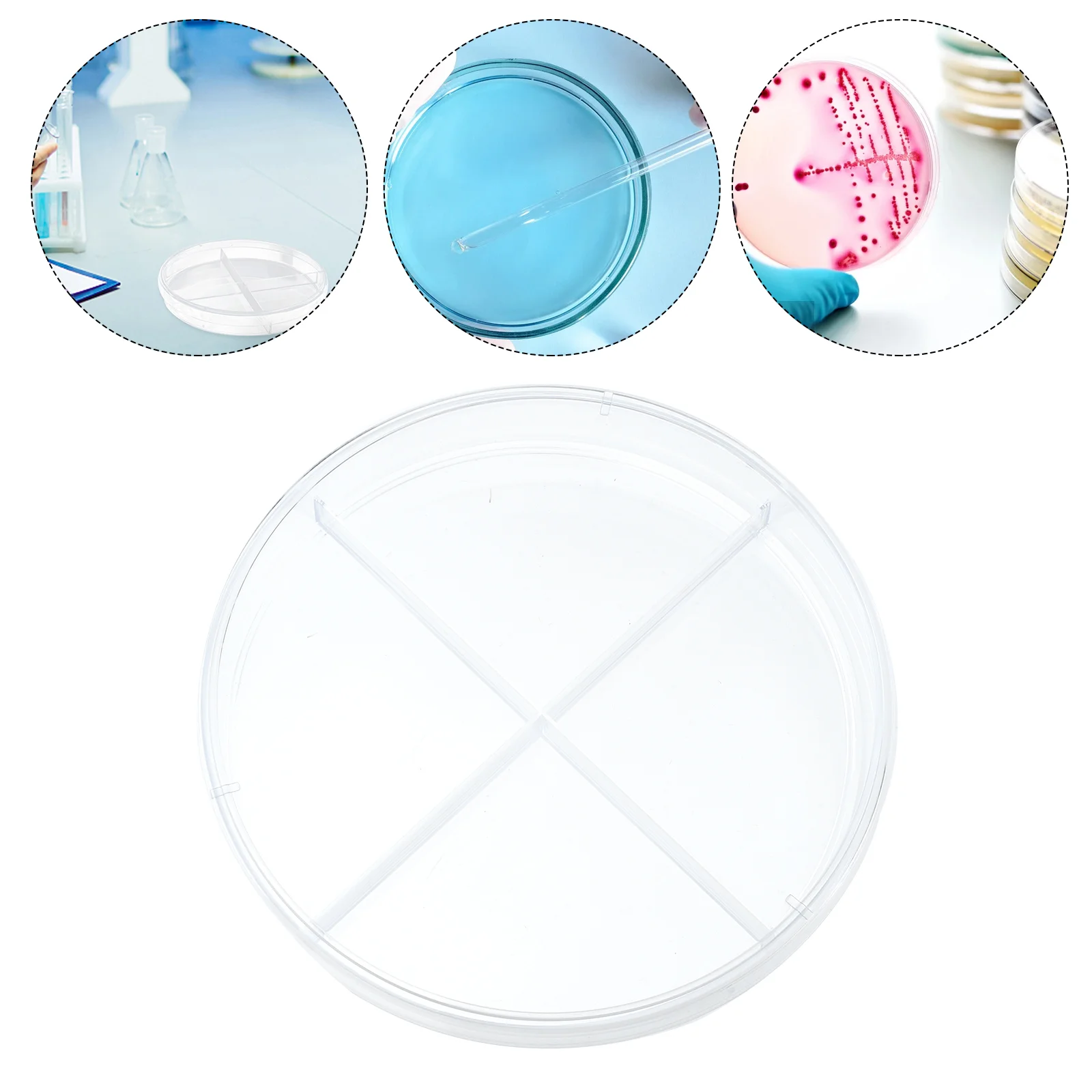 10 Pcs Cell Culture Dish Scientific Experiment Tool Portable Petri Transparent Design Clear Cell-culture