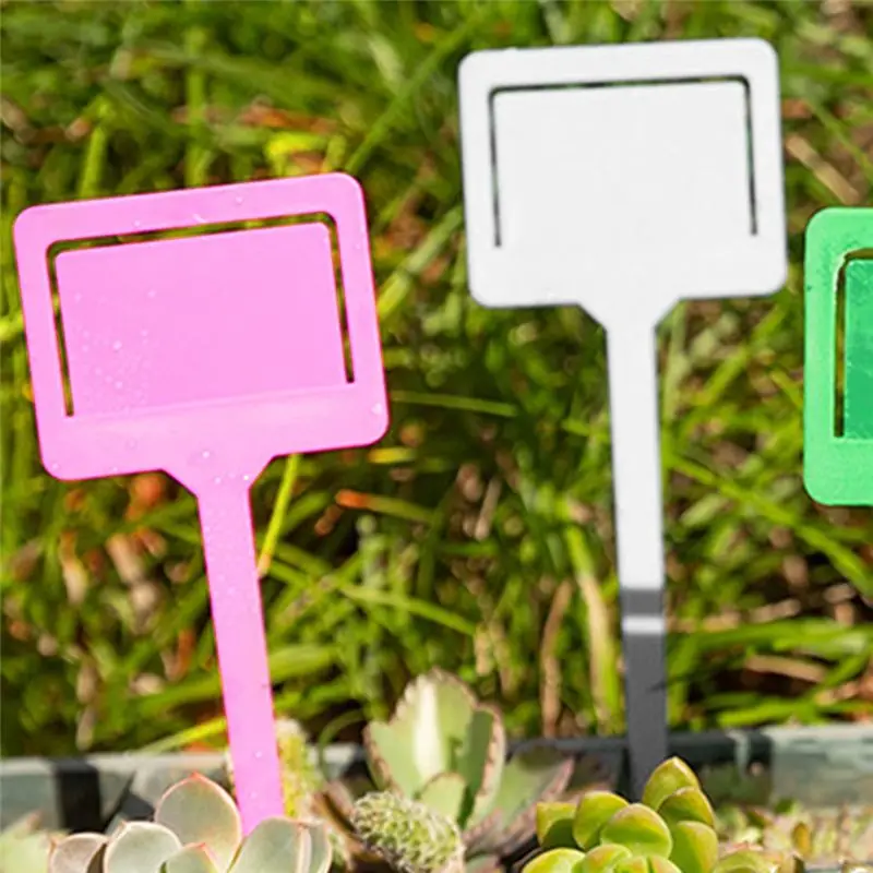 Luckshopping Plastic Gardening Labels, Succulent Labels, Insert Gardening Labels, Signage Plates