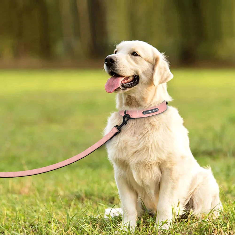 Personalisiertes PU-Leder-Hundehalsband-Leinen-Set, weich gepolsterte Hundehalsbänder, gravierte Haustier-ID-Halskette mit Leine für kleine große Hunde, Mops – Detail 23