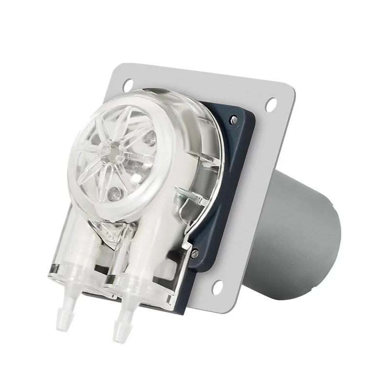 

104/BL brushless DC peristalsis 18-240 ml/min flow rate 12V/24v water treatment dosing