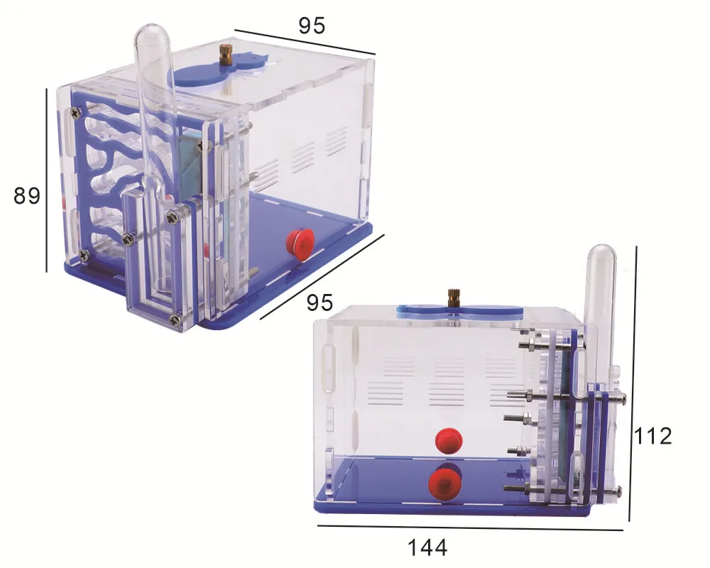 Ant Ecological Box … - image