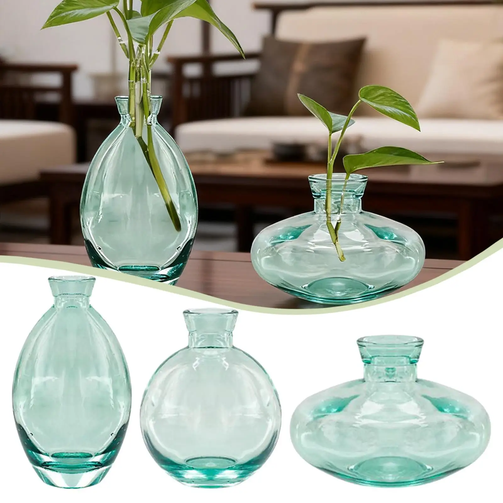 

3Pcs Glass Vases for Indoor Plants Bud Vase Flower Vase Home Decor Growing Plant Vases for Mom Gardening Lovers Kids Families
