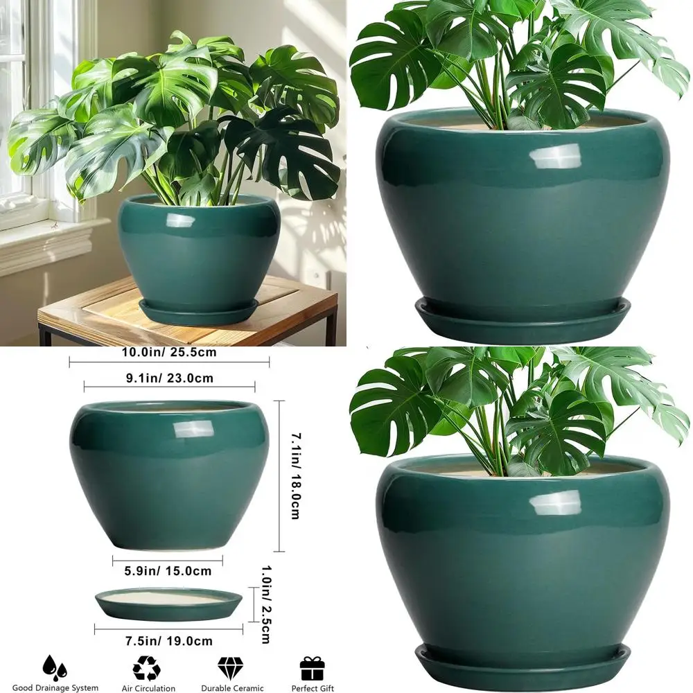 

10-дюймовый горшок для комнатных растений с дренажем и поддоном, глазурованный круглый декоративный кашпо, идеально подходит для домашнего или офисного озеленения