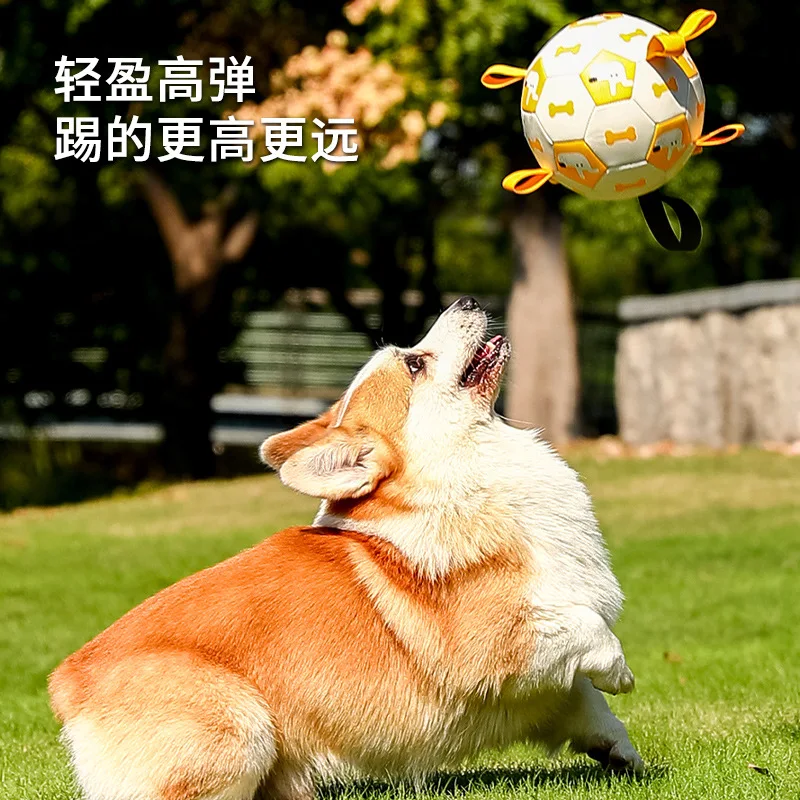 Outdoor Pet Interactive Training Toy: Inflatable Squeaky Dog Soccer Ball