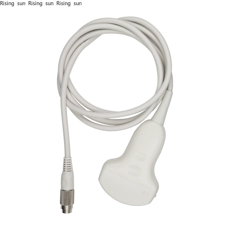 

Pig And Sheep B Ultrasonic Probe Transducer Convex Probe Sale Accessories Veterinary Equipment
