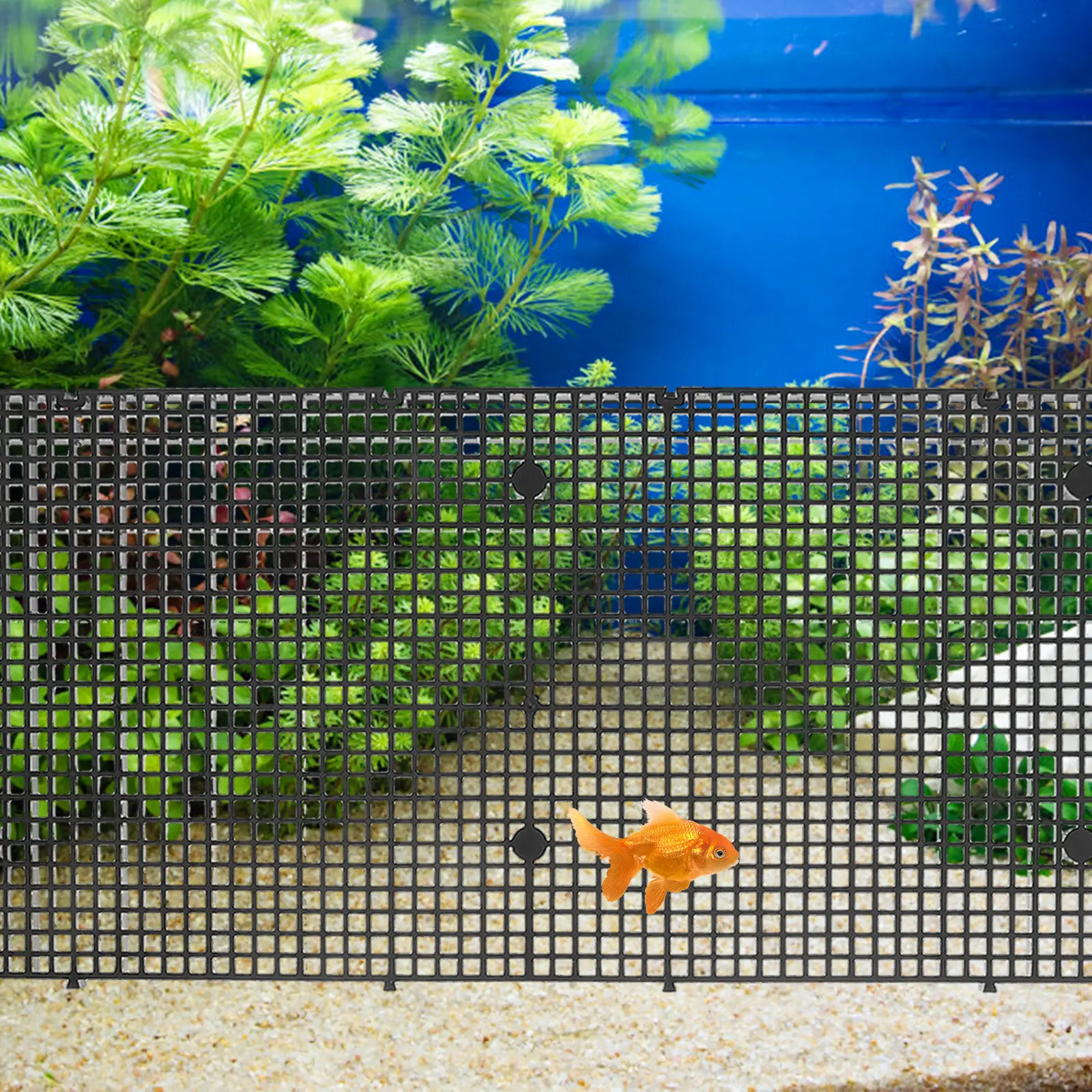 4pcs Fish Tank Isolation Board - Partition Screen Divider recension och pris