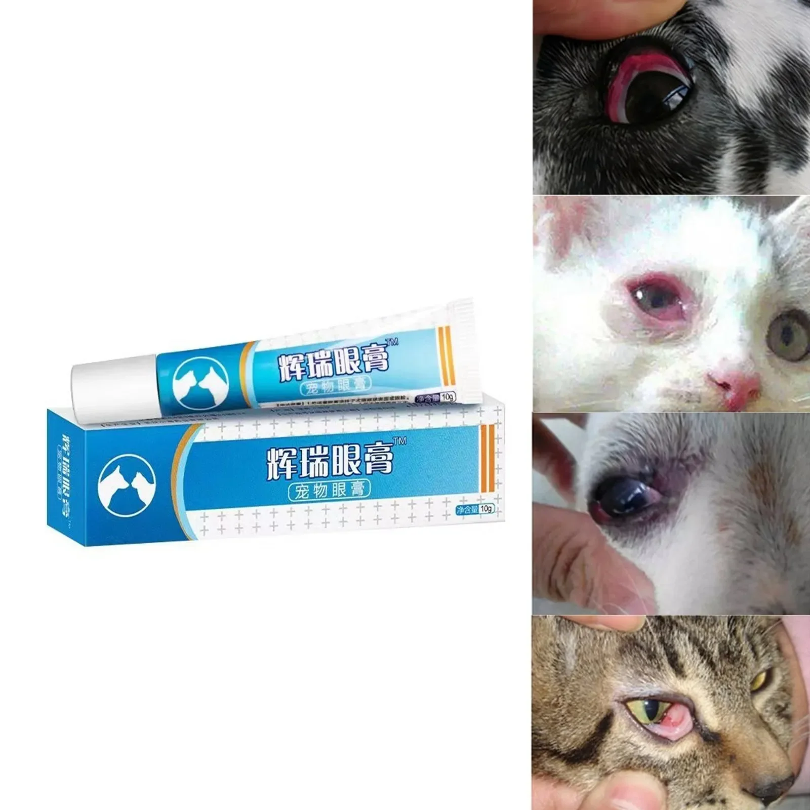 Katze und Hund Augen salbe Haustier Augen salbe Hornhaut entzündung Augen salbe
