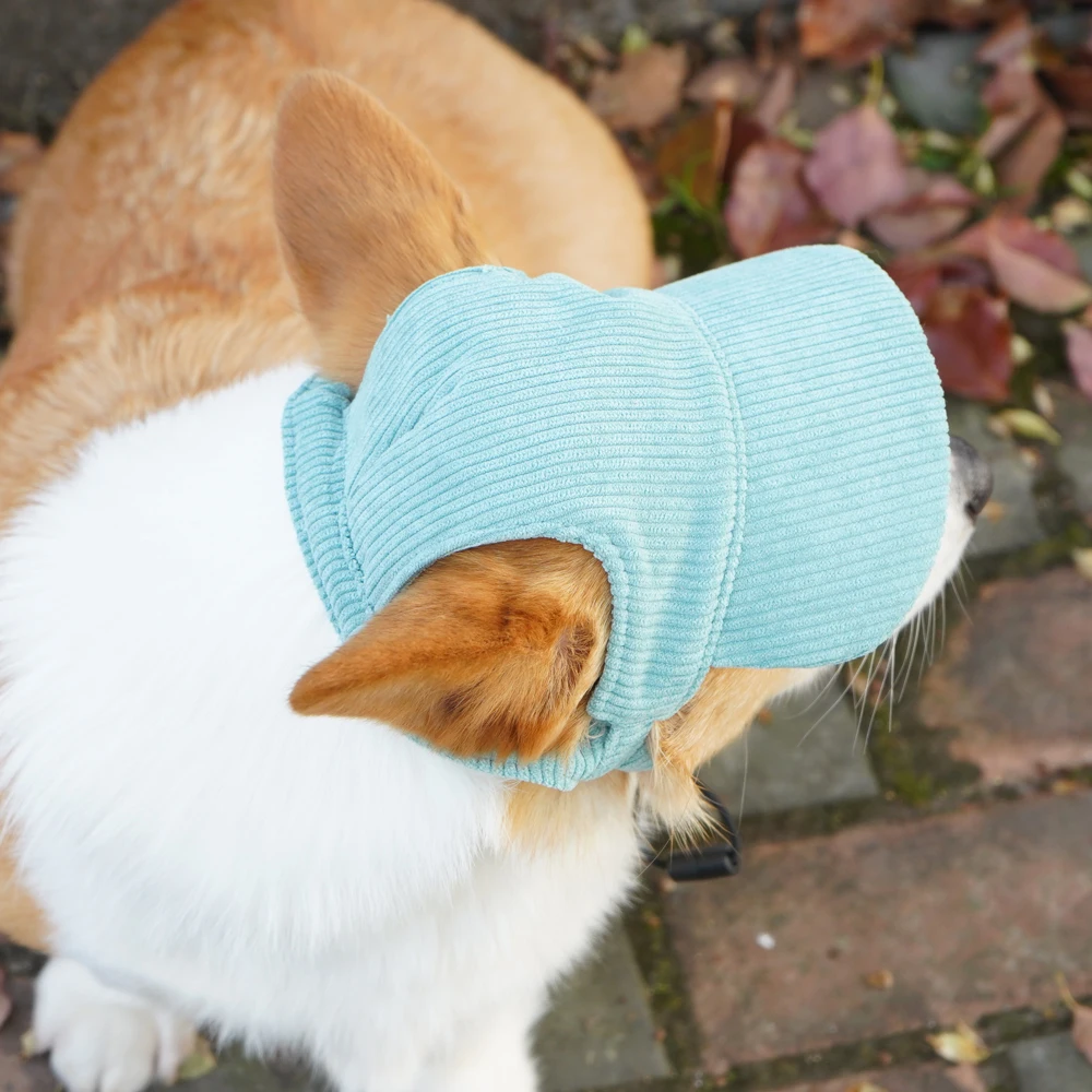 Corduroy Dog Baseball Cap 5