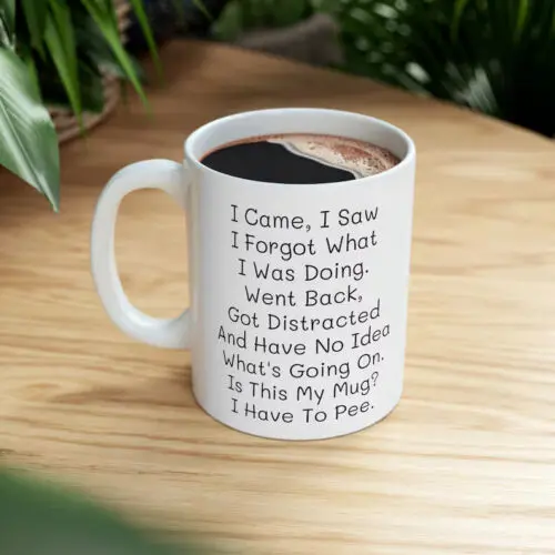 I Came I Saw I Forgot What I Was Doing Coffee Mug, Old People Mug