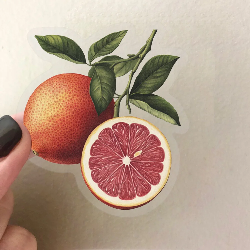 50pcs/set Transparent Retro Fruit Scrapbook Journal Sticker Creative Design Simplicity Stationery Sticker DIY Decal Sticker